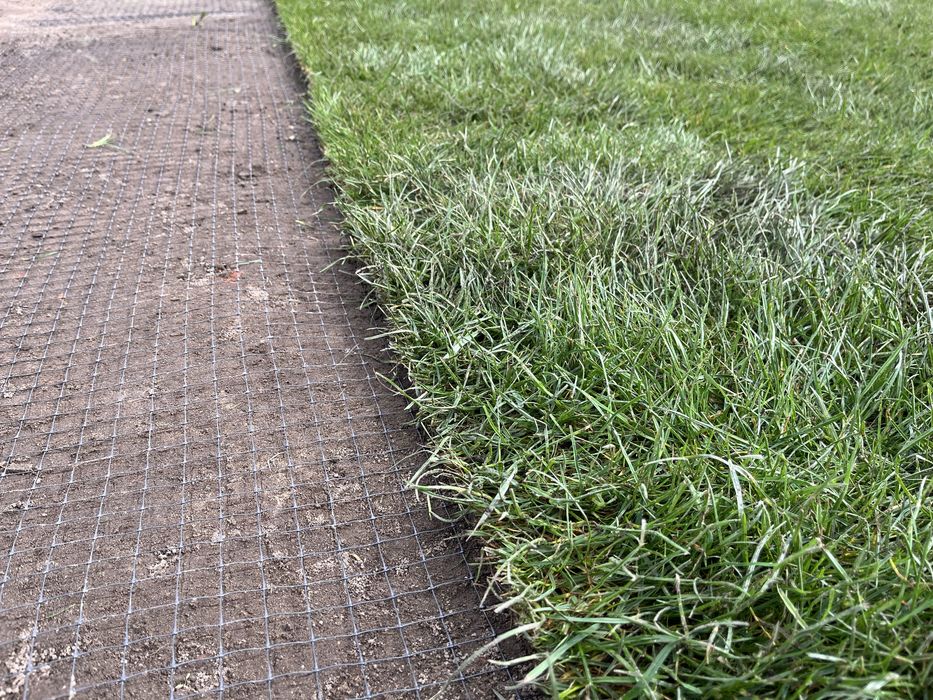 Trawa w rolce, trawa z rolki, 40m2 z dostawą pod sam dom