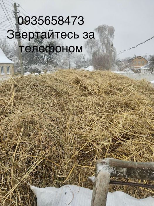 Продам сіно всі деталі за телефоном