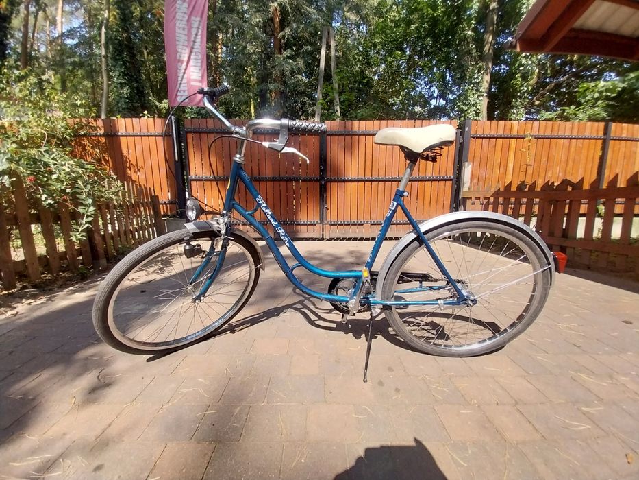 Rower damka Bike Sport Lux