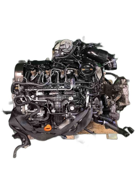 Motor Completo VW GOLF VI 1.6 TDI (77 kW / 105 cv) [02.2009 - 11.2012] CAYP (OEM)