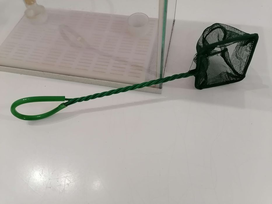 2 aquários para peixes de água fria