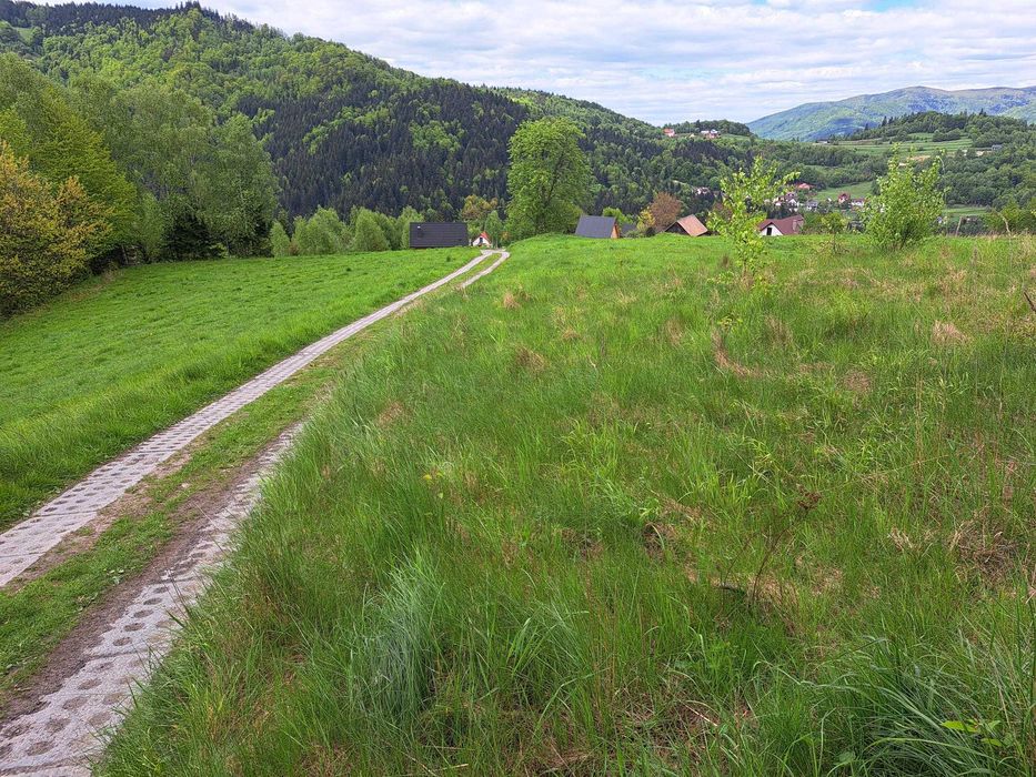 Działka pod dom z widokiem, studnią,prądem i MPZP w Beskidzie Sądeckim - View 6