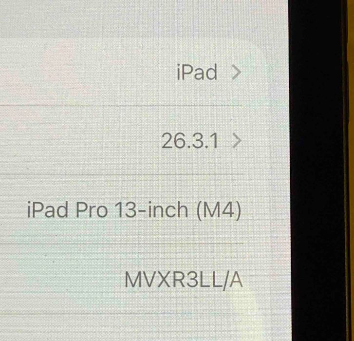 iPad Pro 13 M4 256Gb