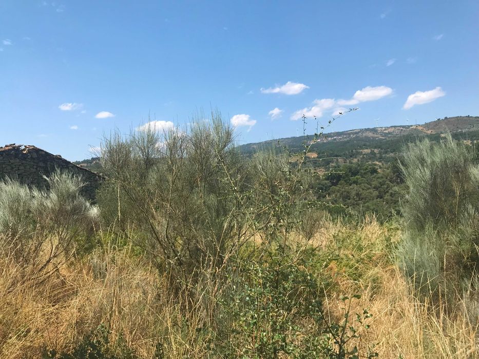 Conjunto de Terrenos Rústicos e Urbanos para Venda