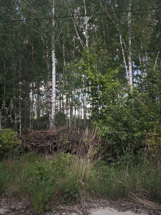 Ділянки біля озера у кооперативі Михайлівка-Рубежівка