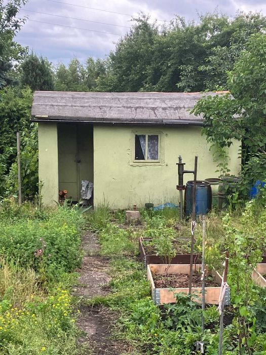działka ROD Stablowice -  Spokojna Dolina - Widok 3
