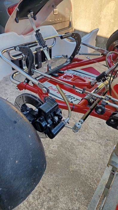 Kart Birel Rotax Dd2 -