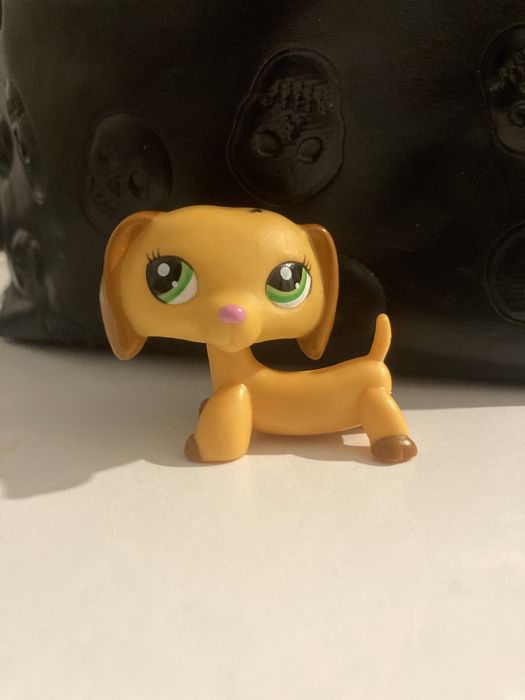 littlest pet shop jamnik
