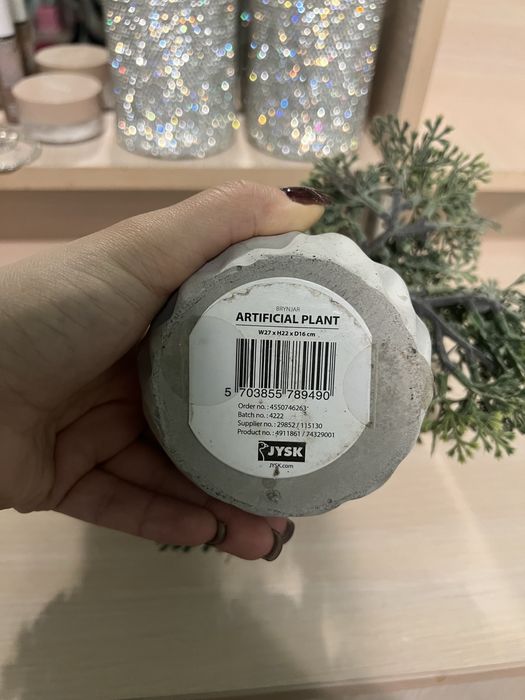 Бонсай Jysk  в идеале