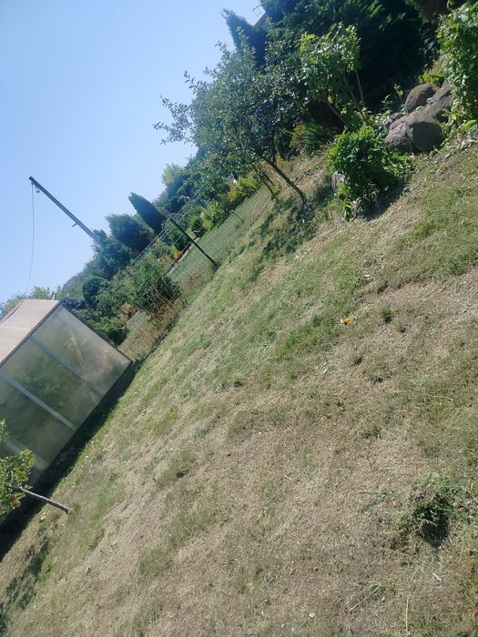 Zdjęcie 4