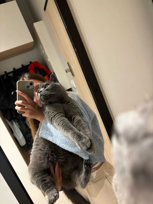 Magda, petsitter Petsy.pl - opieka od 35 zł, rabat 10% z kodem KRKP10