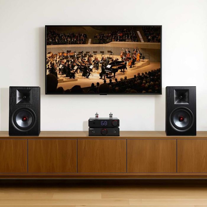 пасивна HI-FI акутика AIYIMA P600 (6,5 дюймів)