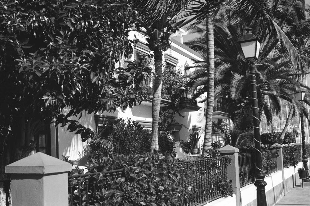 Olympus OM40 Program