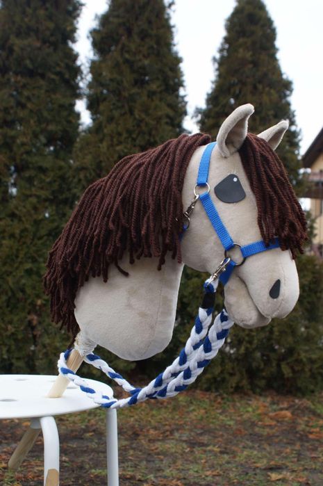 Konik hobby horse