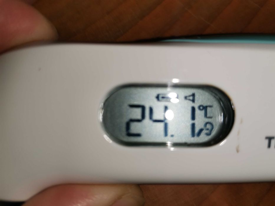 Termómetro digital Braun ThermoScan