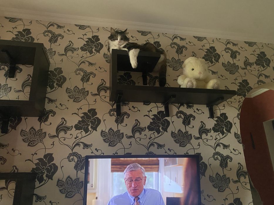 LG 32LN570V (32”) — звук есть, нет изображения / на ремонт