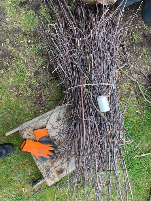 Gałązki owocowe dobre do wędzenia