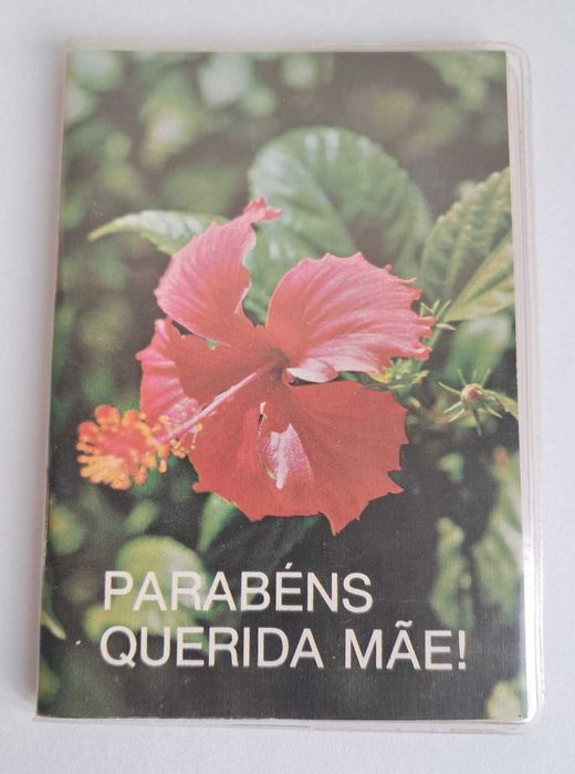 Pequenos Livros com Frases Inspiradoras