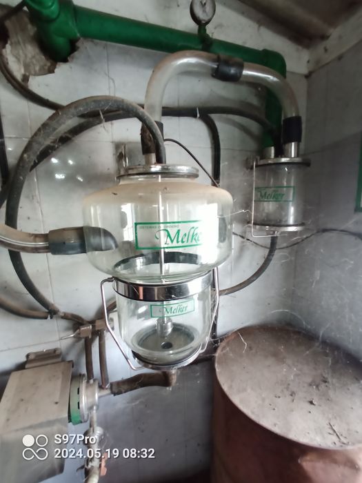 Máquina de ordenhar 26 ovelhas