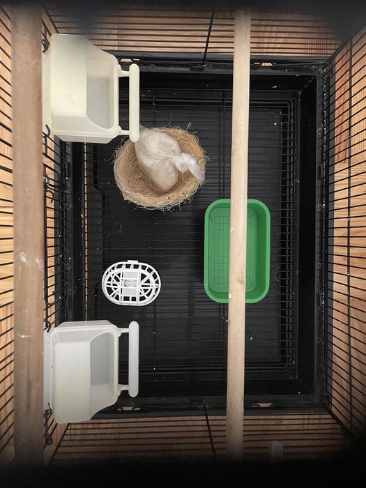 Gaiola para pássaros de porte pequeno/médio