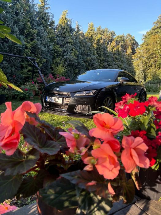 Audi TT Coupé