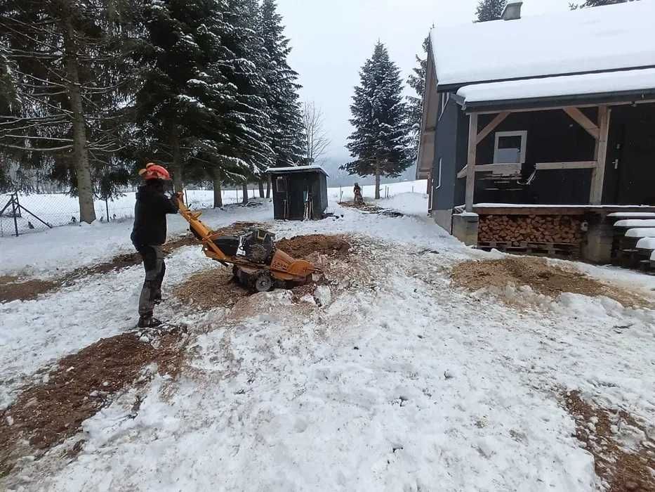 Frezowanie pni, korzeni - usuwanie karpin - mulczowanie / karczowanie