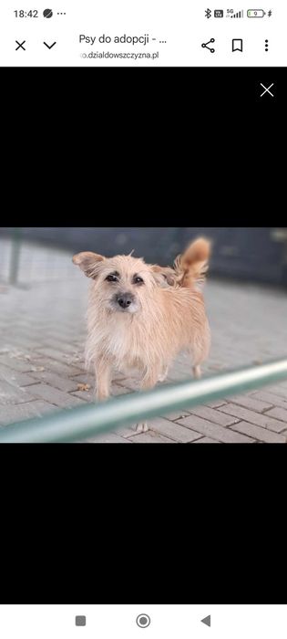 Aura czeka na ciebie!