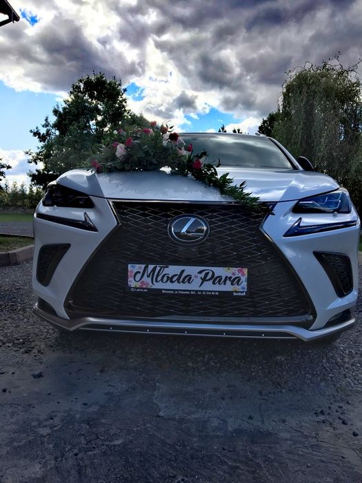 Samochód auto do ślubu Lexus Skoda fajerwerki dymy Ostrowiec Kielce