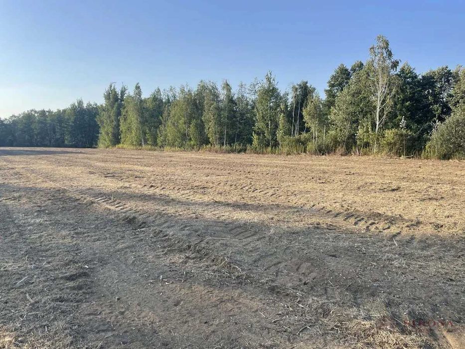 Działka budowlana 1000m² | Rżyska k. Radzymina | MPZP – Buduj od razu!