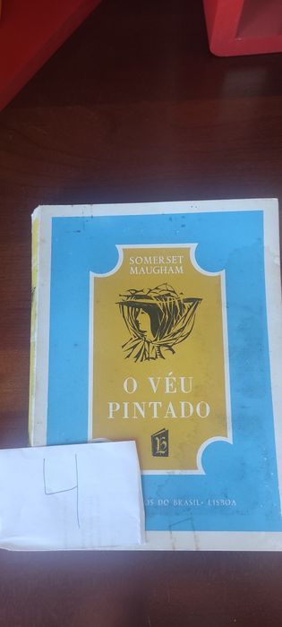 O véu pintado livro