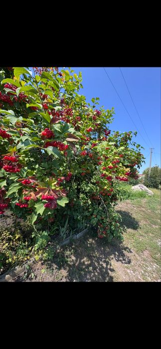Продаж земельної ділянки