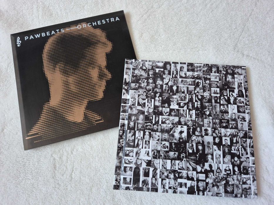 PAWBEATS - Orchestra