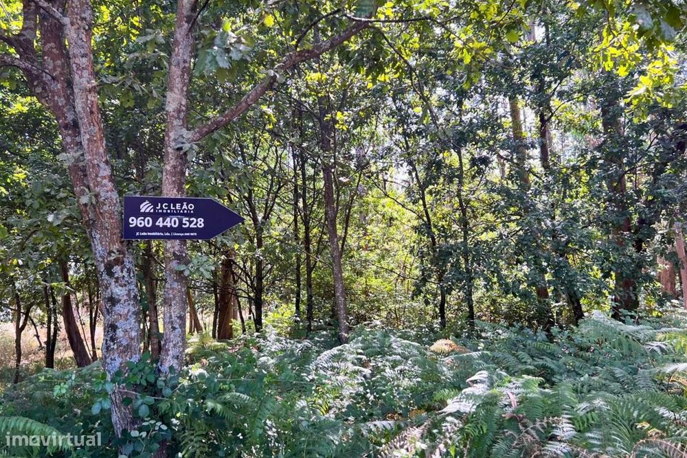 Terreno Rústico com 1430m2 em Lamoso, Paços de Ferreira