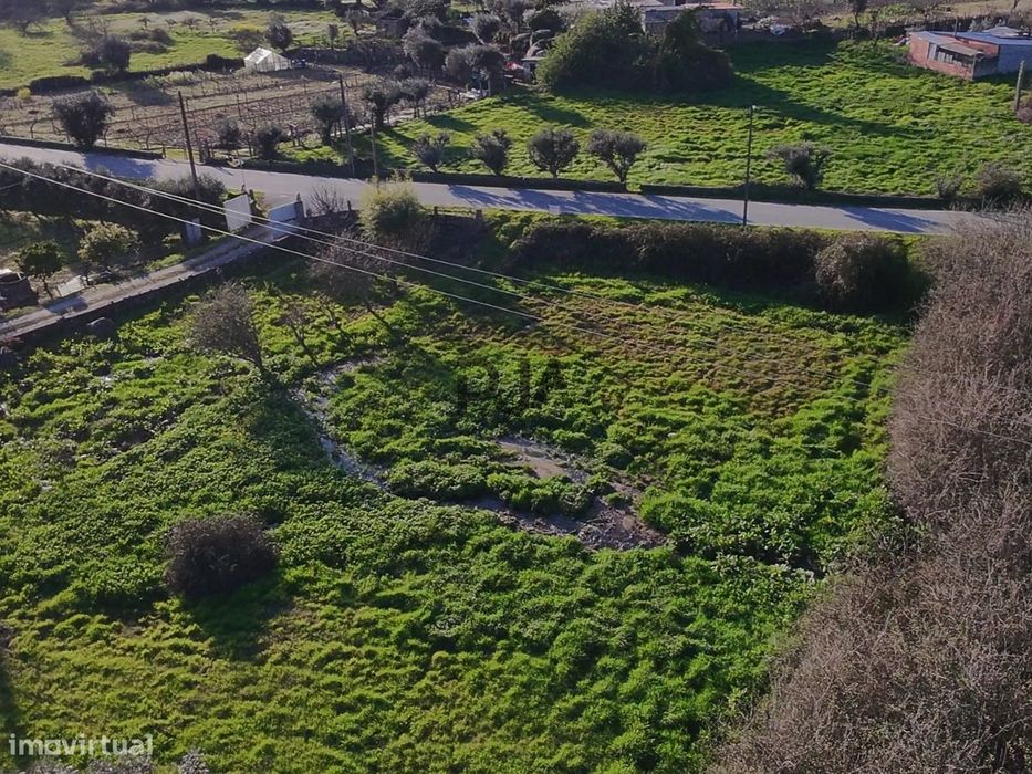 Terreno Rústico em Canedo do chão, Mangualde