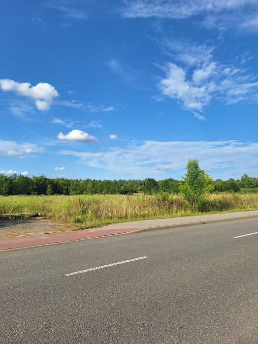 Działka budowlana 1711 m², Wrzosowa - Widok 2