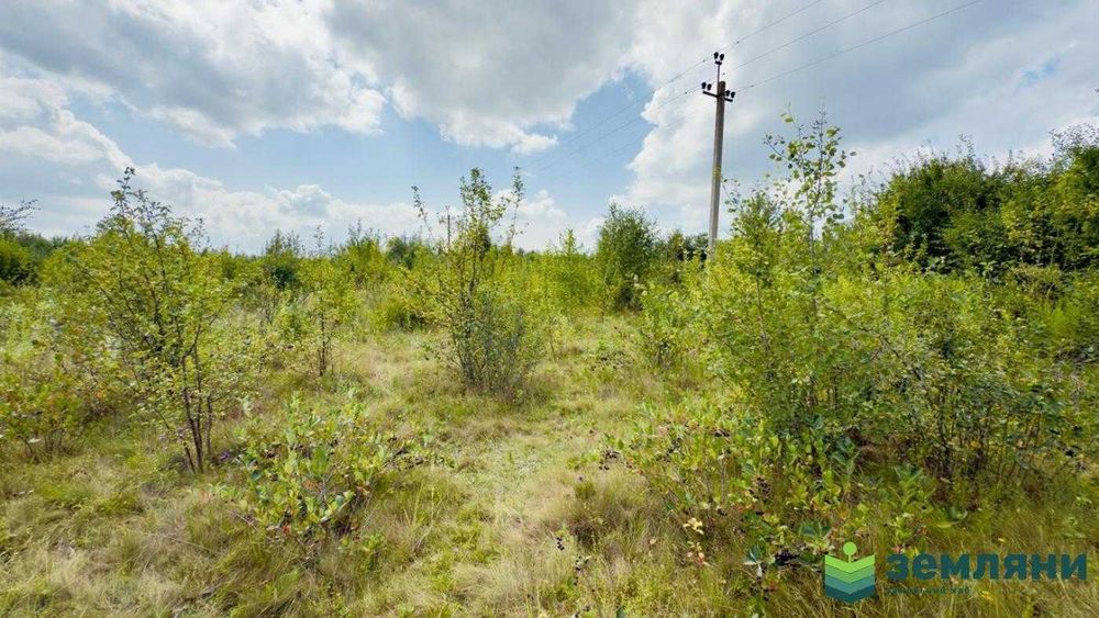 Продається ділянка 12 сот у Братківцях (12)