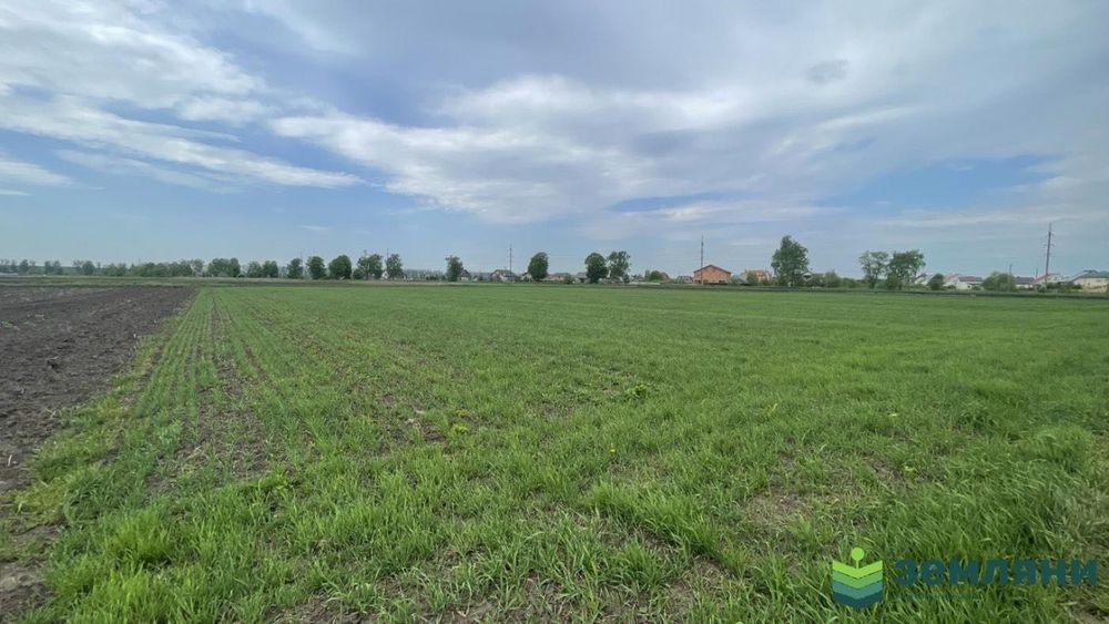 Продається ділянка 21 сот під будівництво в с. Підпечери (5)