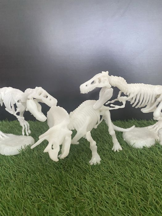 Dinosaur Skeletons64740282593409123