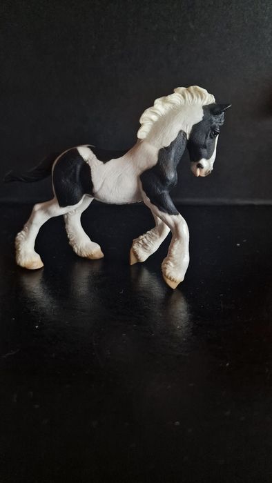 źrebak Tinker collectA