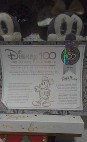 Disney 100 – Caixa Comemorativa Mickey & Minnie | Edição Especial