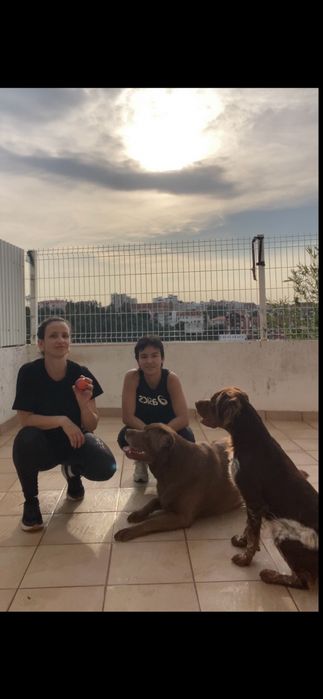 Petsitter em Coimbra