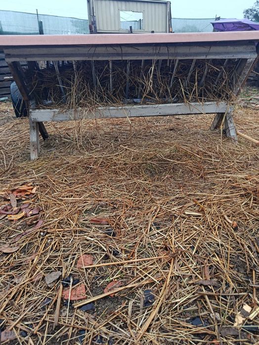 Casota para animais e comedouro