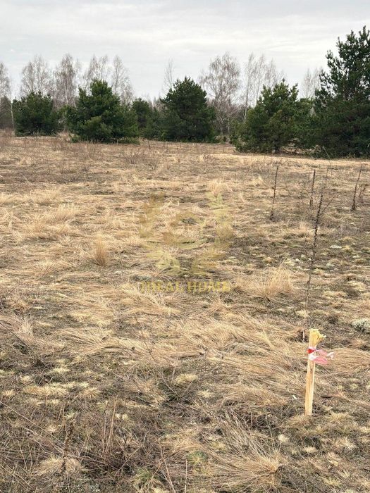 Продам земельну ділянку під забудову в Дружні Бородянського району