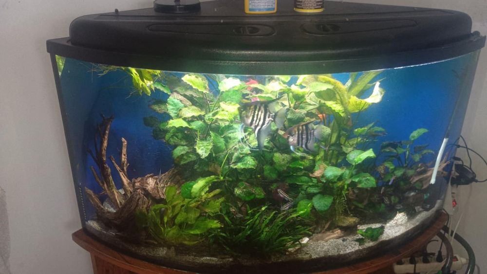 Sprzedam akwarium