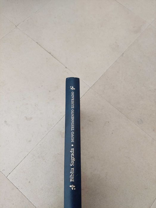 Bíblia Sagrada (Novo Testamento Ilustrado)