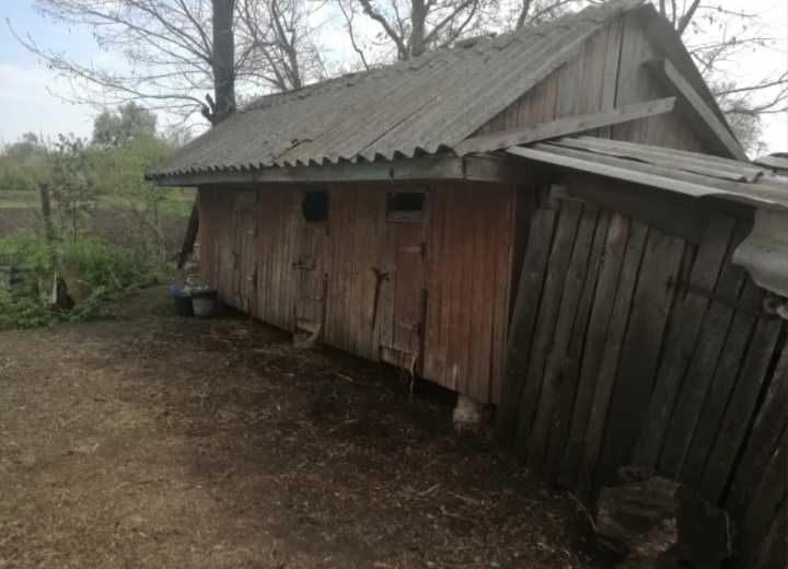 Продам будинок Полтавська область