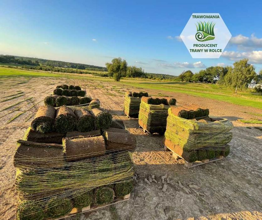 *** TrawoMania - trawa z rolki prosto od producenta ***