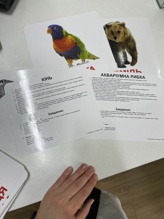 Набір карток Домана для дітей, великих(19,5на16,5см)