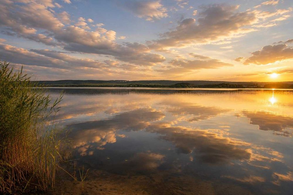 ЗЕМЕЛЬНА ДІЛЯНКА біля Києва з виходом на річку на воду вихід до Дніпра  12 сот. біля води  50 хв від Києва недорого краєвид Бориспільський рн