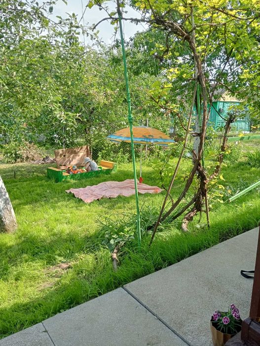 Дача " Промінь"  земельна ділянка